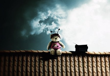 Poo on the Roof - clouds, radio, sky, teddybear