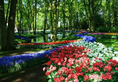 Keukenhof Gardens, Netherlands - tulips, trees, water, pond