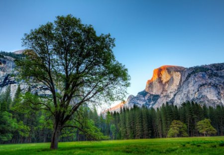 Yosemite sunset - mountains, unesco worls heritage site, forest, landscapes