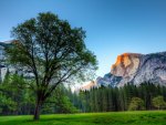 Yosemite sunset