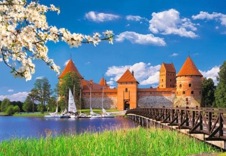 Castle in spring - blooming, blossoms, beautiful, grass, castle, nature, pretty, spring, branches, lake, sky, reflection, nice, lovely, trees, boats, calm