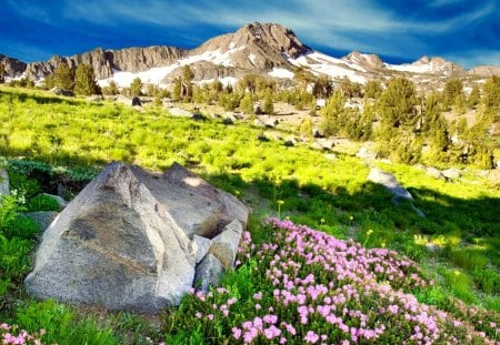 Mountainscape - pretty, sunny, summer, grass, mountain, flowers, nice, sky, greenery, mountainscape, beautiful, slope, lovely, stones, wildflowers, nature, delight, rocks