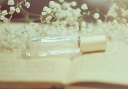 My Dream - book, dream, bottle, soft