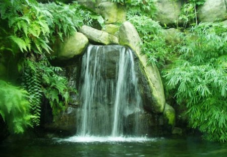 Forest Waterfall - nature, stone, trees, water, green, waterfall