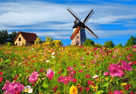 Spring mill - nice, cottage, sky, freshness, fragrance, greenery, colorful, field, meadow, wind, spring, pretty, green, scent, house, grass, mill, lovely, nature, beautiful, delight, cabin, windmill, flowers, barn