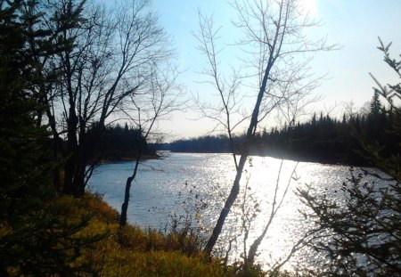 ~~; Mississaugie Autumn ;~~ - water, autumn, trees, river