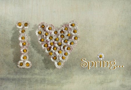 Love spring - flowers, love spring, spring, photo, love, flower