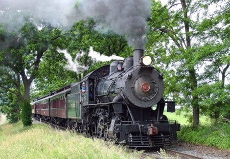 Old Steamtrain - nature, locomotive, trees, railroad, steam, machine