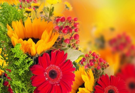 Bright colors flowers - flowers, bokeh, yellow, red, bright colors, petals