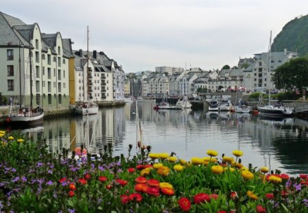 Beautiful view - flowers, architecture, buildings, river