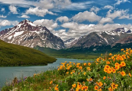 River - River, Flower, nature, mountain