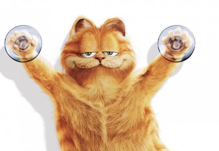 Garfield - cat, movie, ywllow, funny, garfield, cup, white, suction, animal, orange