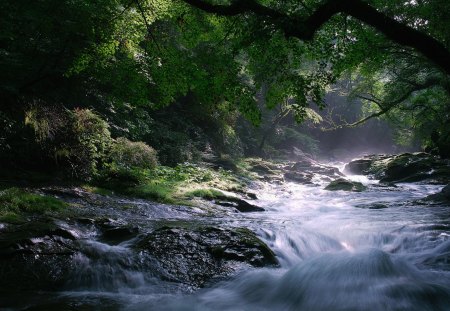 River - River, water, photo, nature