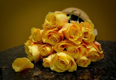 YELLOW ROSES - roses, rose, flowers, spring, yellow, nature