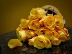 YELLOW ROSES