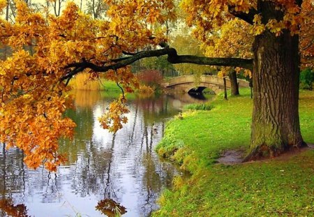 Down by the riverside - autumn, river, leaves, colors, tree, grass, bridge