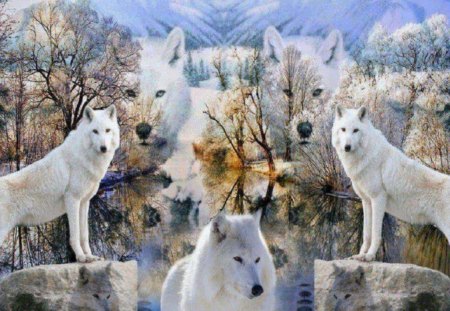 Wolf Fantasy - wolves, abstract, fantasy, animals