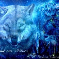 Save Our Wolves