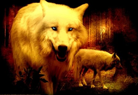 Wolf Beauty - fantasy, animals, wolves, Abstract