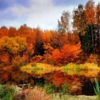 Lake in autumn