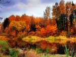 Lake in autumn