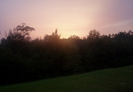 PINK SUNSET - Sunset, Tree, Nature, Sky