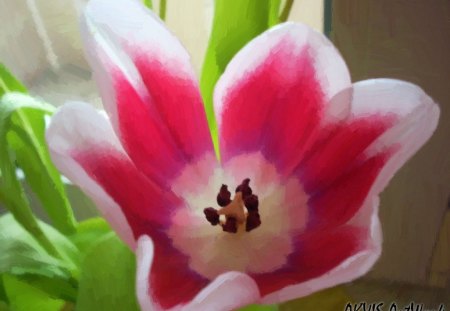 Cute Tulip - petals, red, green, leaves