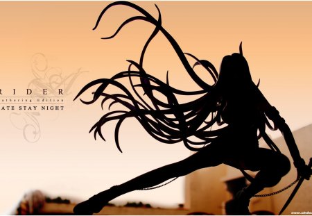 Rider - silhouette, female, anime, long hair, weapons, rider, fate stay night