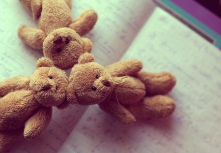 Teddy - bear, hug, love, Teddy