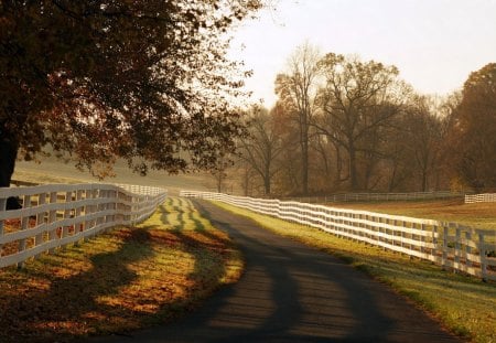 Village Road - nature, village, path, road