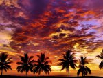 TROPICAL SUNSET