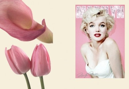 Marilyn Monroe - norma jeane mortenson, norma jeane, marilyn, marilyn monroe