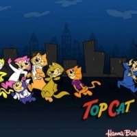 Top Cat