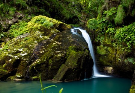 Waterfall - stream, nature, forest, waterfall