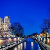 Lights of Notre Dame de Paris