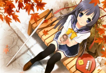 enjoying a cup of tea - autumn, katana, anime, school girl, manga