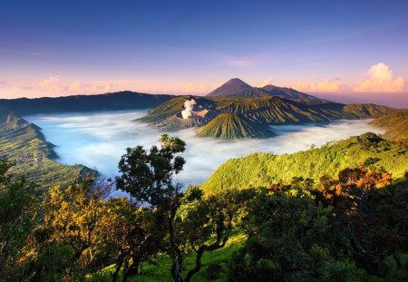 Late afternoon at volcanoes - dusk, forest, clouds, landscapes