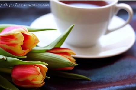 Tulips and Tea - tulips, tea, flower, cup