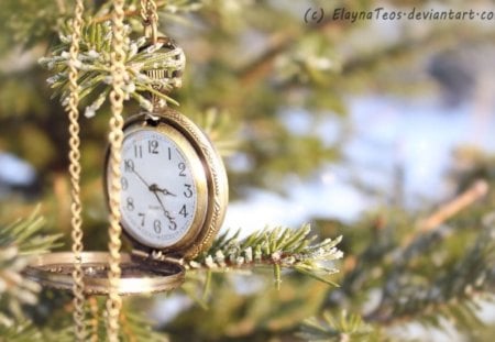 Pocket Watch on Fir Tree - abstract, watch, pocket, firtree