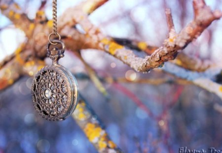 Pocket Watch - abstract, watch, pocket, tree