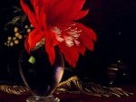 Red Flower in a Vase