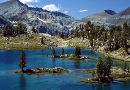 Beautiful scenery - lake, plants, natute, trees, mountain