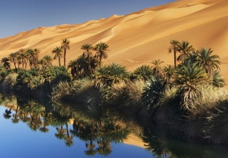 Side of the deserts - river, trees, nature, deserts, sands