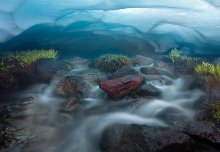 Natures fog - foggy, plants, natures, rocks