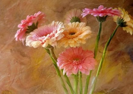 Still life - pretty, vase, delicate, beautiful, lovely, still life, bouquet, flowers, gerberas, painting, soft, tender, nice