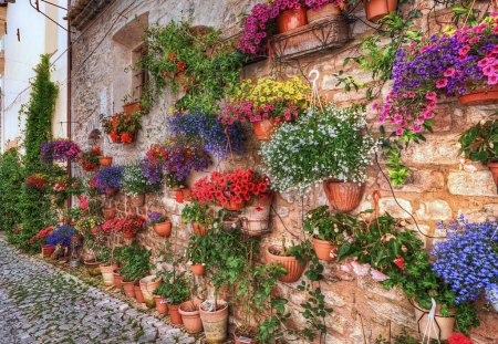 Wall of flowers - style, flowers, creative, artistic