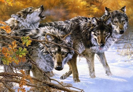 wolf - animal, wolf, jungle, snow