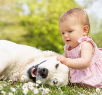 Baby and dog