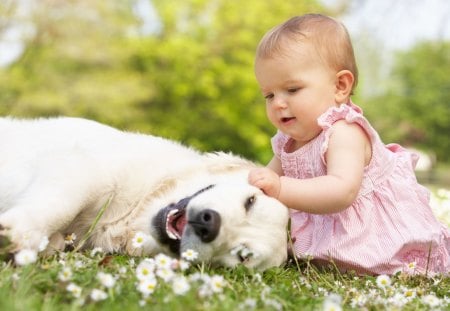 Baby and dog - pretty, pay, beautiful, dog face, puppies, lovely, playful dog, sweet, playful, dogs, bubbles, cute, face, puppy, animals