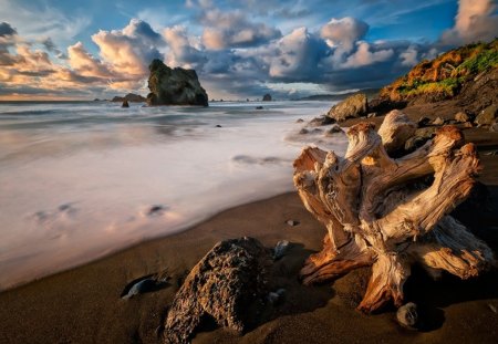 All goes changing - seaside, ocean, trees, clouds, sunset, rocks, landscapes